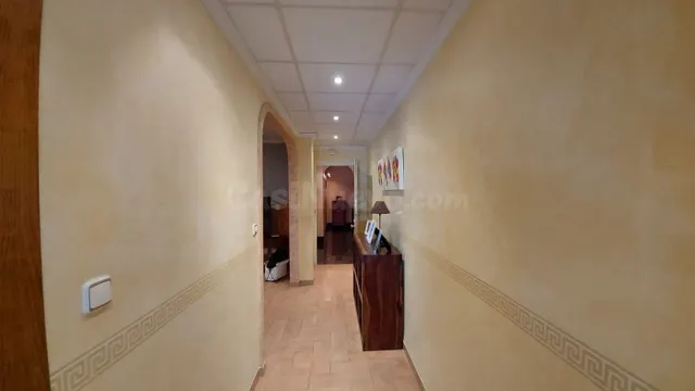 Casa con negocio en funcionamiento en Santa María del Águila - foto 5