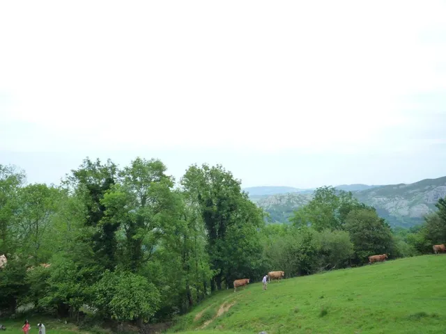 Cabaña 172m² en venta - Northern spain - foto 4