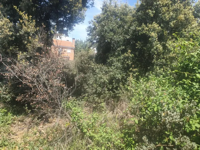 |||| Gran oportunidad de parcela de 826 M2 en Pioz Urbanización La Arboleda ||||| — 5