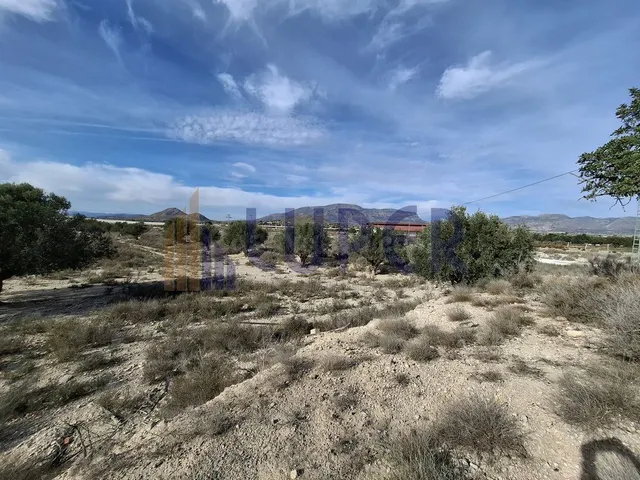 TERRENO RUSTICO A LA VENTA EN AGOST - foto 4