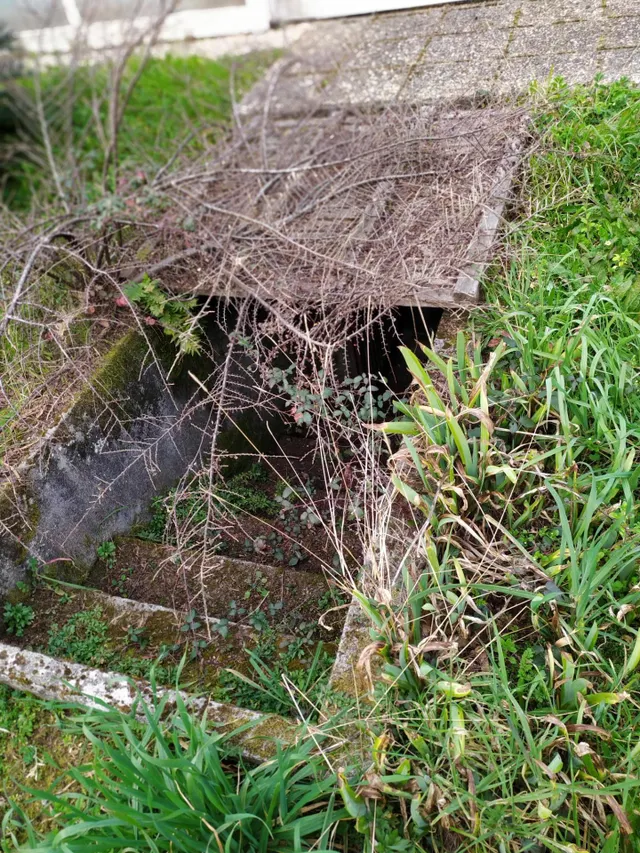 SE VENDE CASONA SINGULAR CON TERRENO DE 22.000 MTS EN OZA — 42
