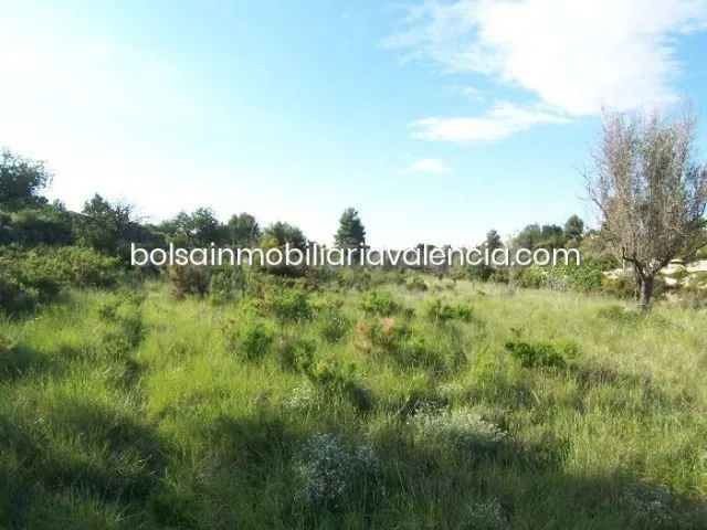 Terreno rural 8000m² en venta - La Raiosa — 18