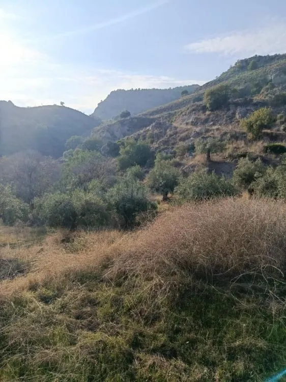 Parcela en venta - Alora pueblo