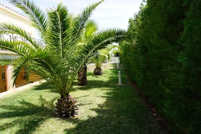 Villa de lujo con licencia turística — 48