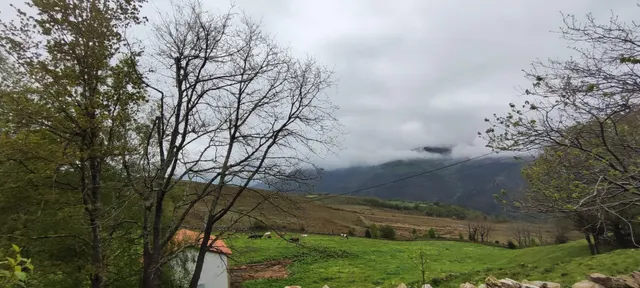 FINCA RÚSTICA CON CABAÑA Y VISTAS PANORÁMICAS EN LUENA.- — 8