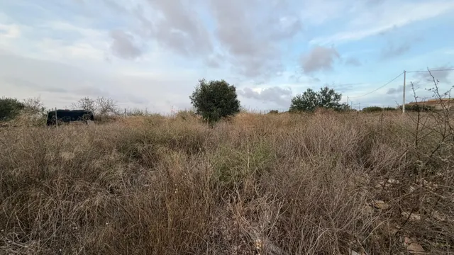 Se vende casa de campo con terreno urbanizable en las palas — 6
