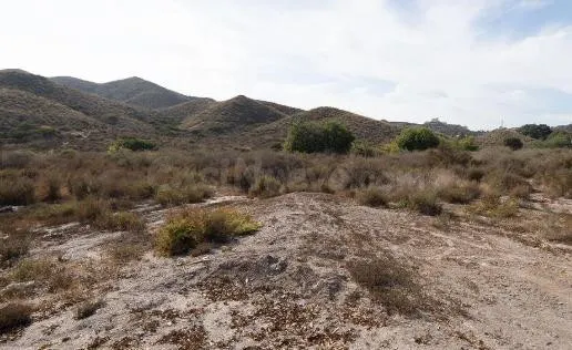 Terreno urbanizable en transformación en venta en carretera  - foto 3
