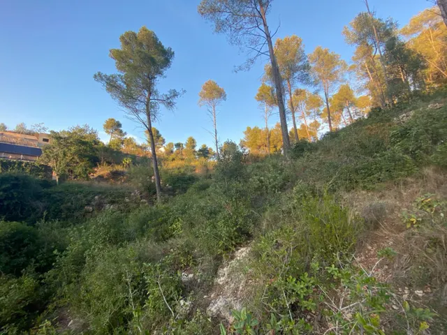 Fantastico terreno en Vallirana - En el sector el pinar, parte alta. — 18