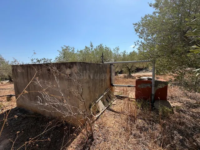 Terreno en venta - Alcanar