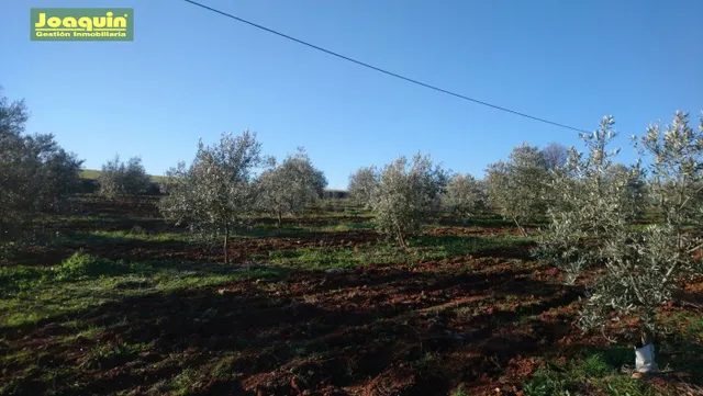 TERRENOS RUSTICOS EN BARRIADA DEL ÁNGEL - foto 4
