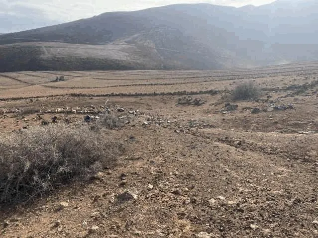 Terreno rural en venta - Barrial - foto 3