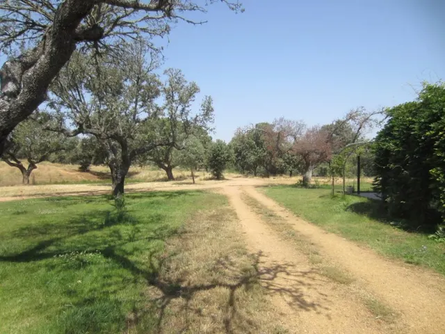 Espectacular finca rustica en Ciudad Rodrigo — 35