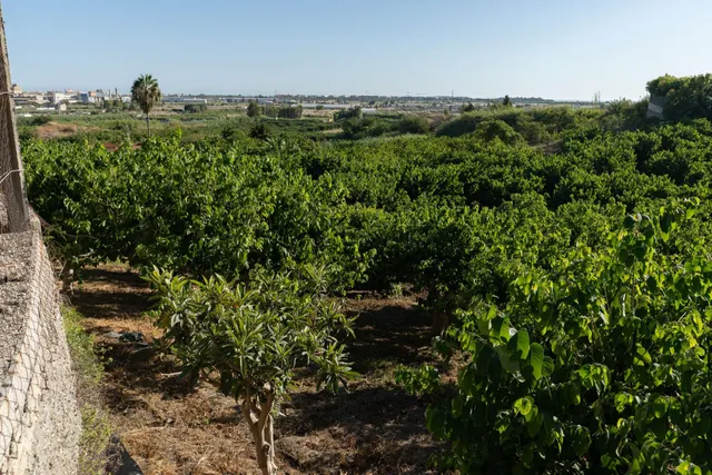 Encantadora Casa de Campo en Motril con Vistas al Mar en el Pago de Minasierra de Motril — 24