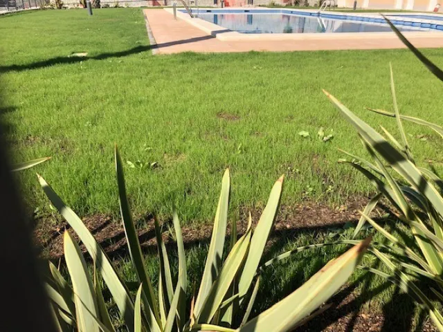 BUNGALOW CON PISCINA NUEVO A 5 MINUTOS DEL KELME — 22