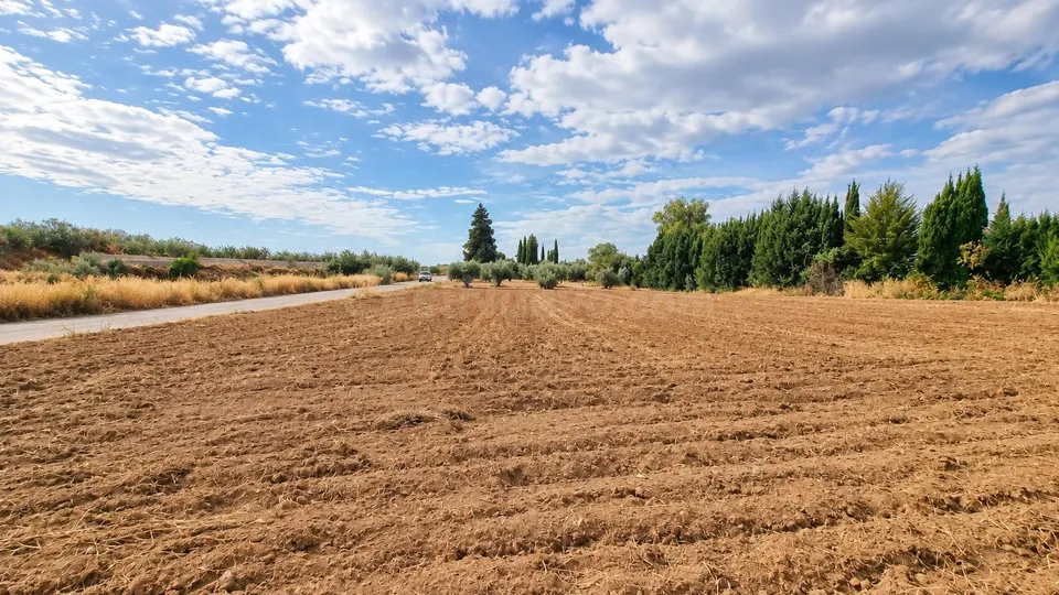 Parcela rústica de 4.824 m2 en Llanos de Moraleda, Moraleda de Zafayona