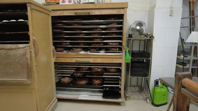 TRASPASO DE HORNO  BOLLERÍA  EN EL BOTANIC — 9