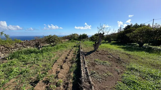 OPORTUNIDAD ÚNICA: GRAN FINCA DE 31.000 M2, secciones URBANA, RÚSTICA, ASENTAMIENTO RURAL Y AGRÍCOLA — 30