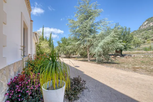 Villa 5 habitaciones 350m² en venta - torrevieja — 3