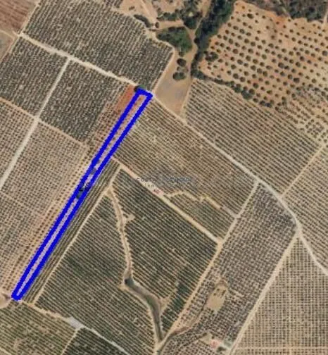 Terreno agrario 1Hectarea — 4
