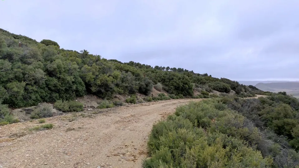 TERRENO RURAL EN DEHESA DE LOS HUEROS