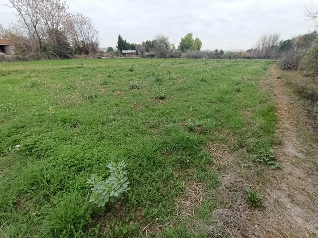 SE VENDE PARCELA RÚSTICA EN ALGUAZAS - foto 5