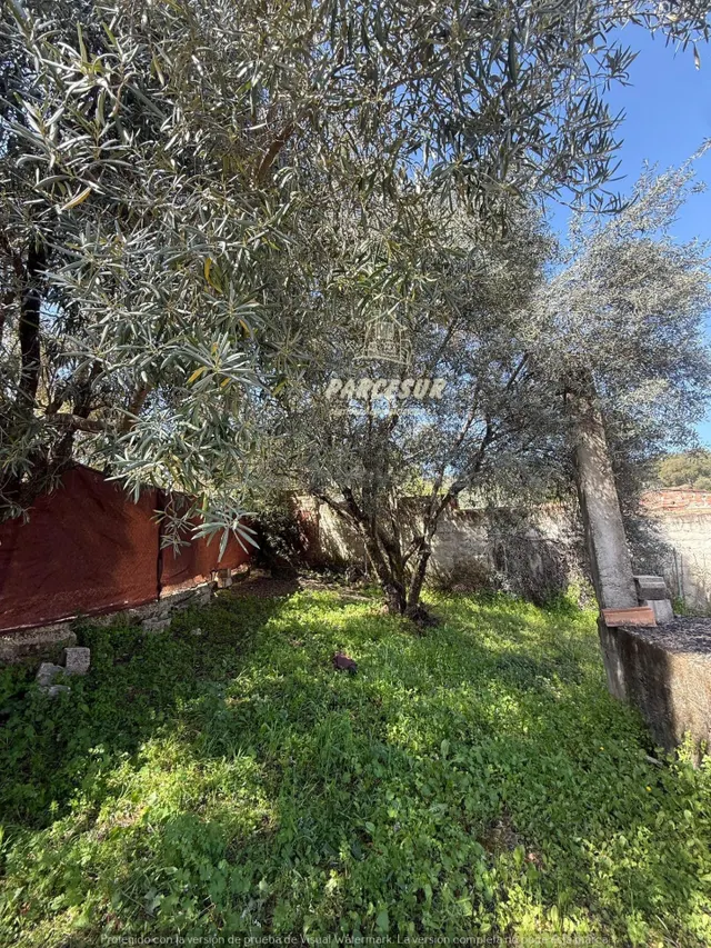 Casa de Campo en el Brillante, Córdoba - Oportunidad para te - foto 3