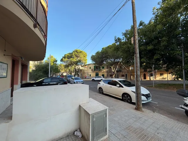LOCAL COMERCIAL EN ALQUILER EN AVENIDA PINS, FRENTE AL JARDÍ - foto 3