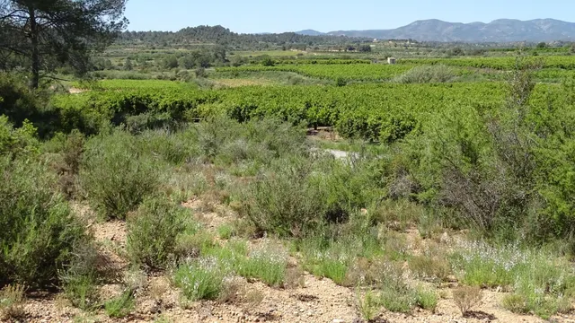 Terreno en venta en Vilamarxant — 25