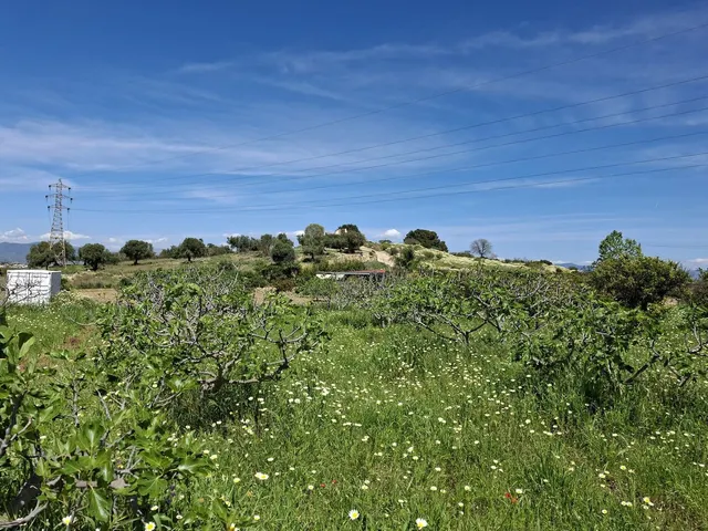 Terreno rústico de 3.413 m2 en Alhaurín de la Torre para proyectos rurales — 17