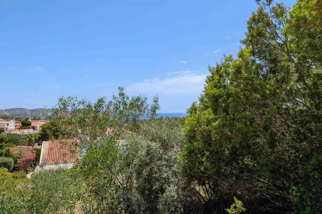 Parcela en venta - La Viña - Montemar - San Jaime — 4