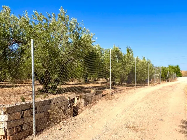 ALBOLOTE - PANTANO CUBILLAS — 23