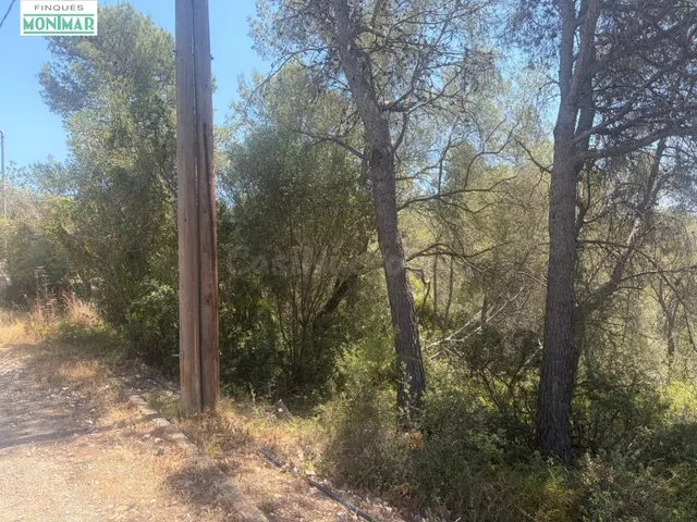 TERRENO DE 1.196 METROS EN CAN LLOSES (SANT PERE DE RIBES)