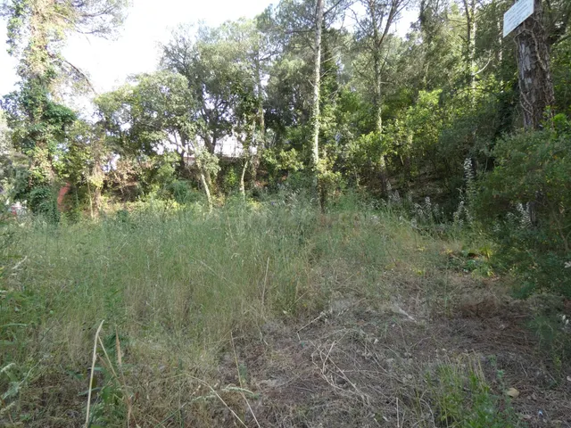 CALONGE: Parcela 626 m2 . MUY LLANA en Urb.Mas Pere, CON TOD - foto 4