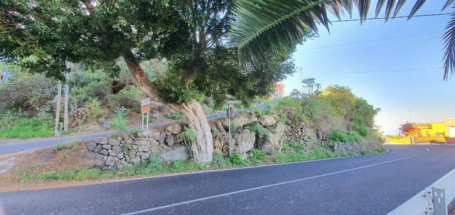 Terreno Urbano en La Guancha - foto 5
