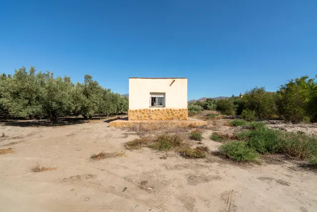 Terreno con Cortijo en Alsodux — 7