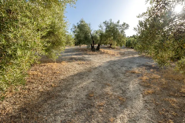 Terreno rural en venta - Alfacar — 33