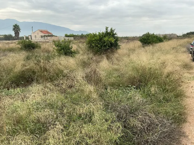 Terreno Urbano en Venta en Librilla - foto 3