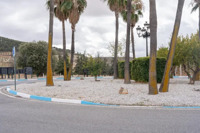VENTA DE PARCELA EN LA URBANIZACIÓN CAÑADAS DEL PARQUE — 29