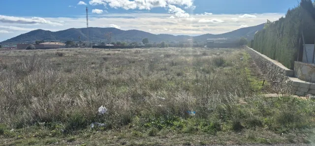 TERRENO EN LA ROMANA DE 12.461M2- IDEAL PARA CHALETS - foto 2