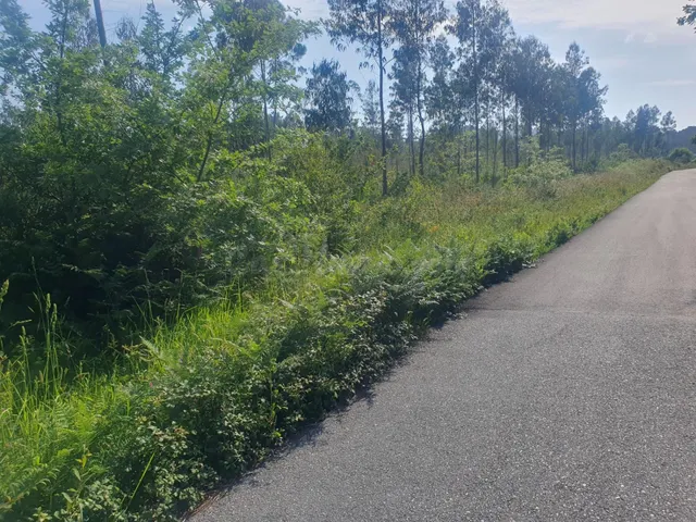 La propiedad tiene una fachada de unos 250 a una buena carre - foto 5