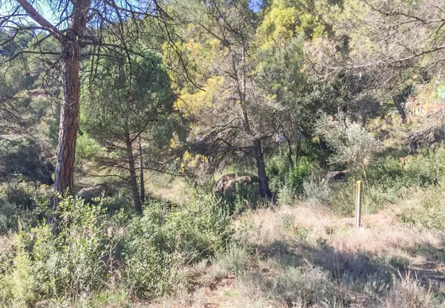 TERRENO URBANO EN RELLINARS DE 946 M2 - ZONA EL PLANET — 25