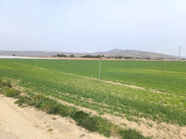 Parcela en venta - Centro — 6