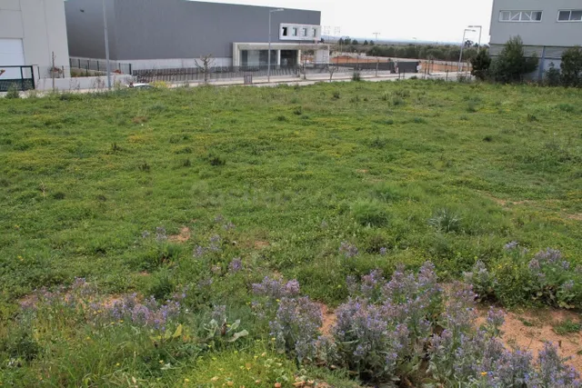 Terreno industrial en venta - Alcudia - foto 2