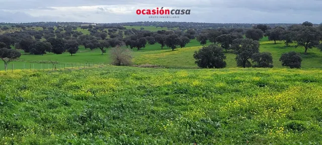 CASA DE CAMPO EN EL VISO DE LOS PEDROCHES — 5