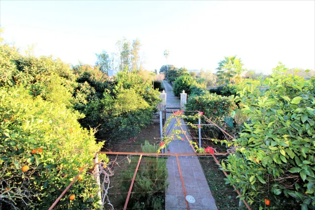 Finca Rústica en Llubí — 18