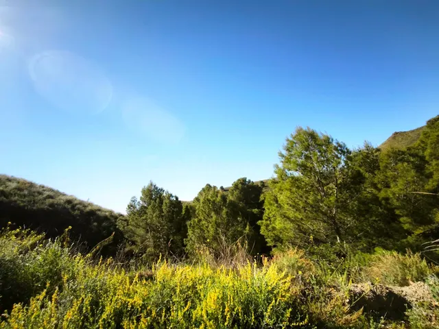 EXCLUSIVO, ESPECTACULAR FINCA CON BOSQUE Y CON DOS CASAS, EN - foto 3