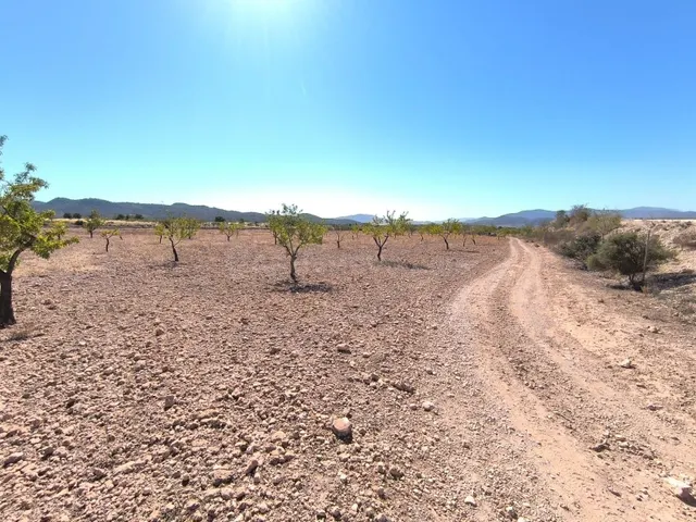 Tierra de ensueño en Monóvar, Alicante - Propiedad ideal par - foto 4