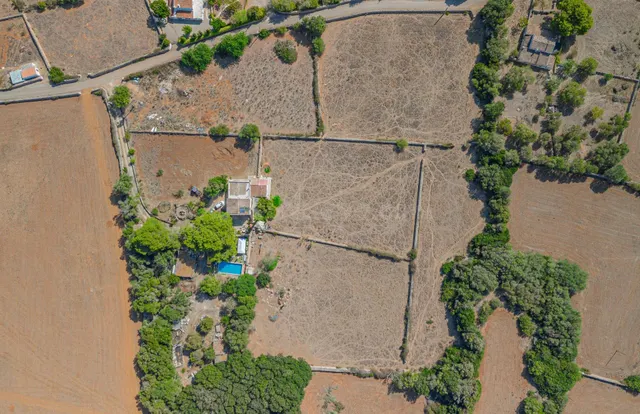 Finca rústica con viñedos y chalet tradicional en Mahón. — 3