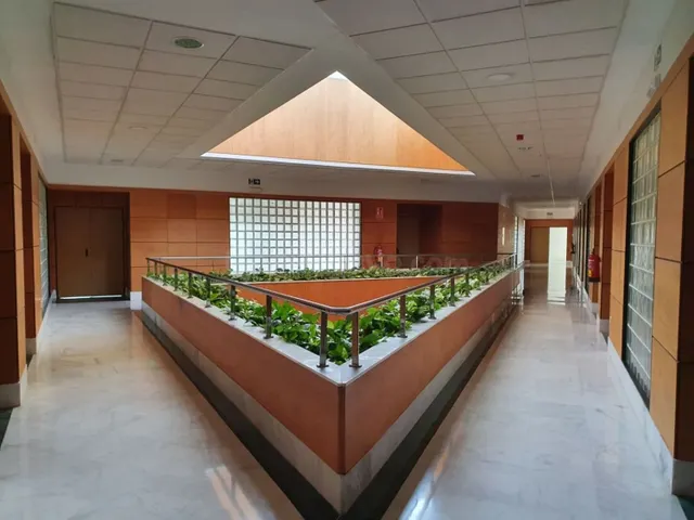 Oficina 598m² en alquiler - Avenida de las Ciencias - foto 3