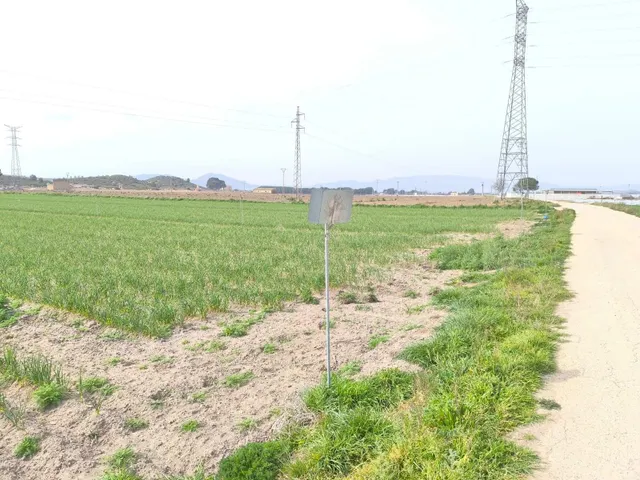 Parcela en venta - Centro — 7
